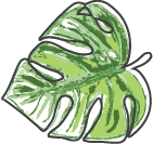 palm