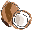 coconuts